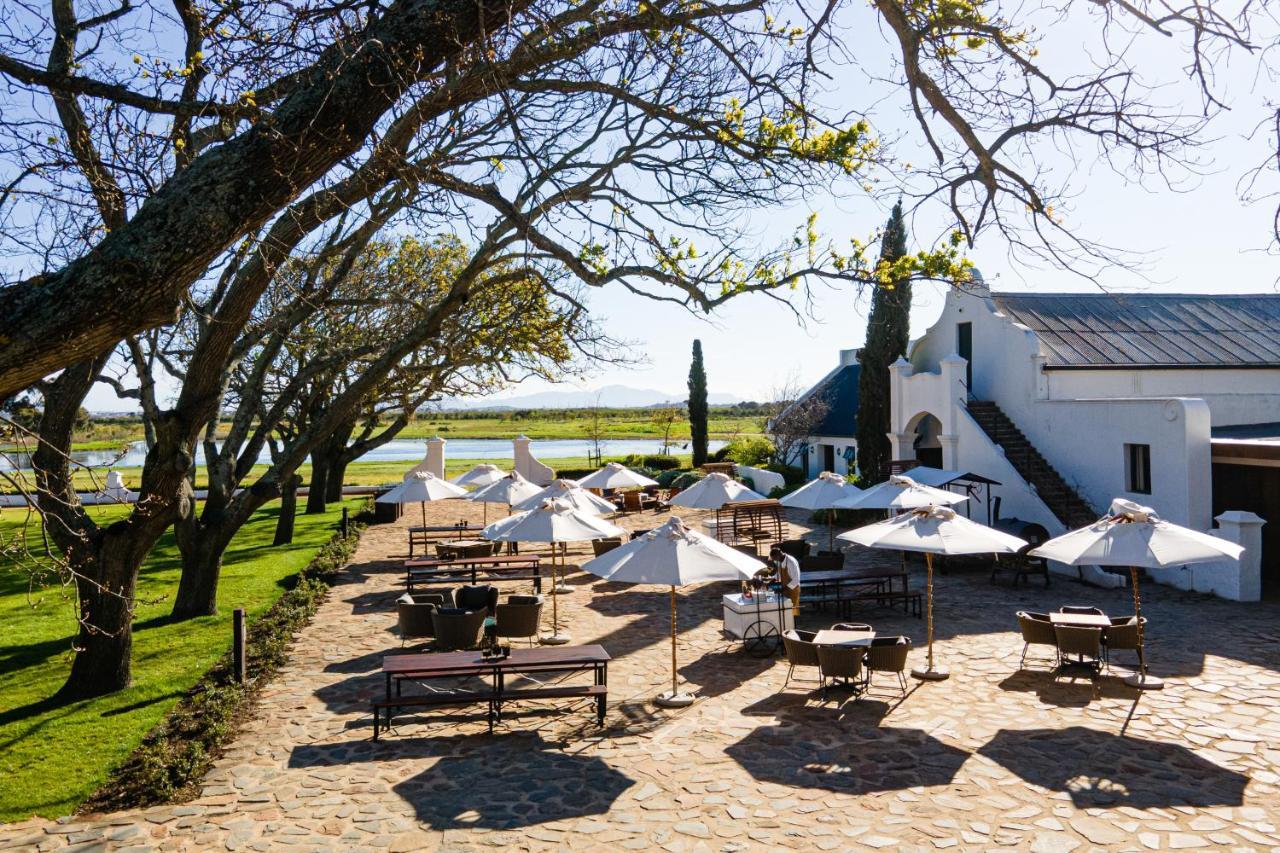 Vergenoegd Loew Boutique Hotel & Spa Cape Town Bagian luar foto