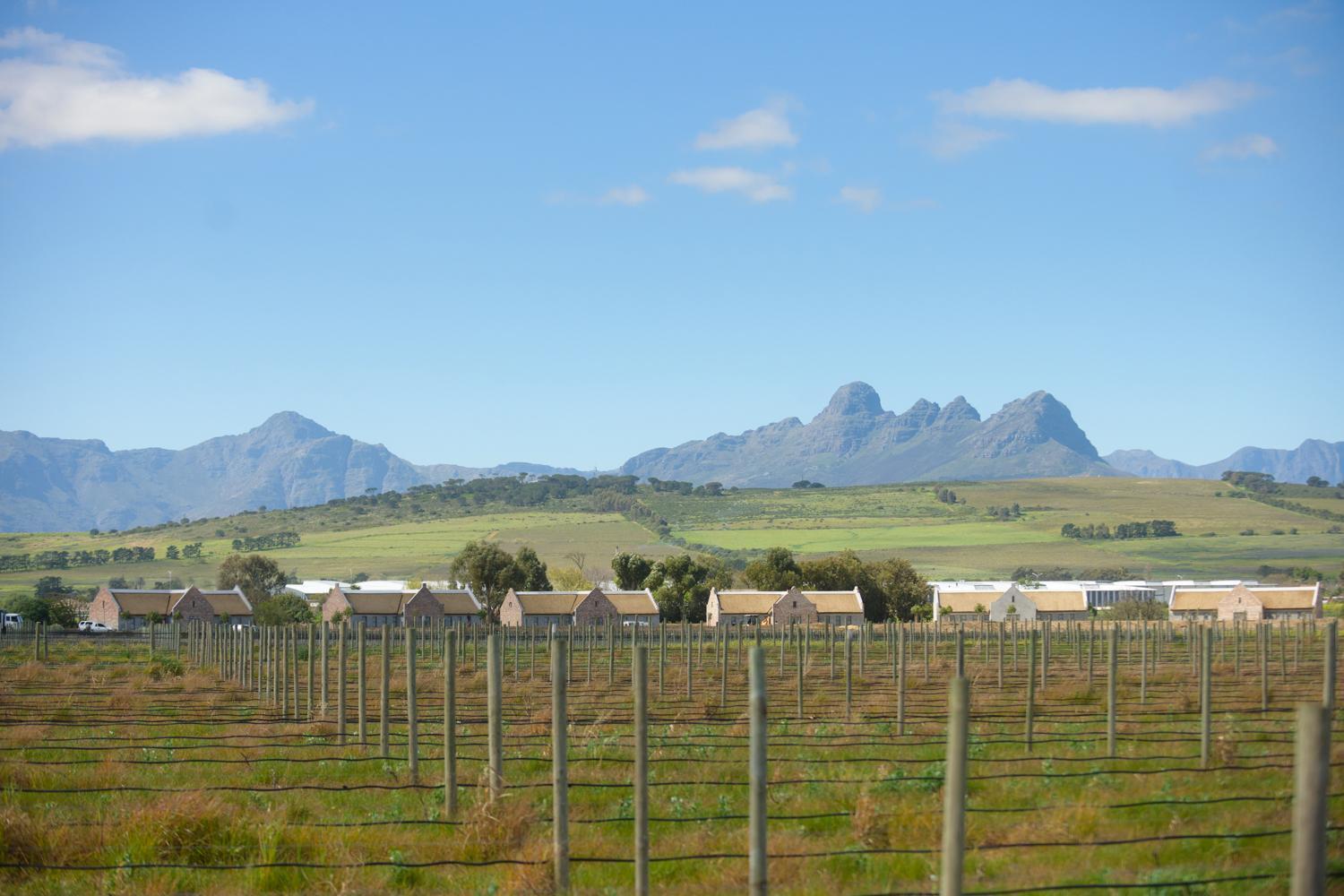 Vergenoegd Loew Boutique Hotel & Spa Cape Town Bagian luar foto