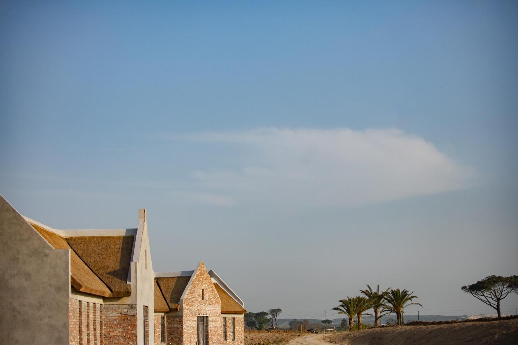 Vergenoegd Loew Boutique Hotel & Spa Cape Town Bagian luar foto